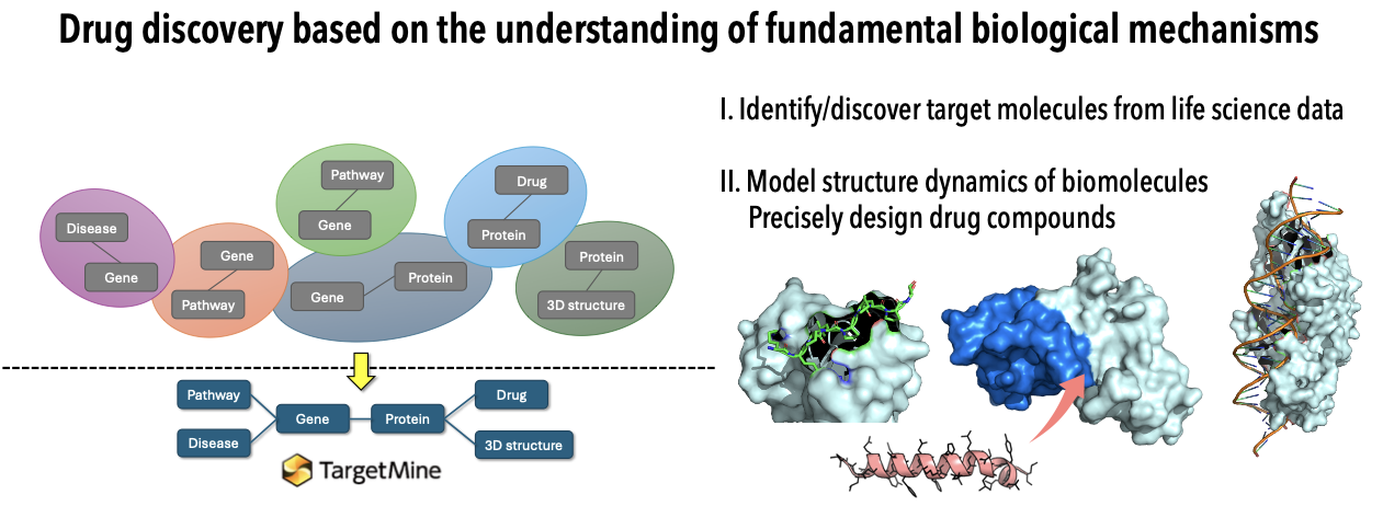 基礎的な生物学的メカニズムの理解に基づく創薬