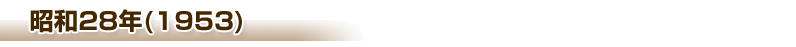 a28Ni1953j