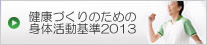 身体活動2013