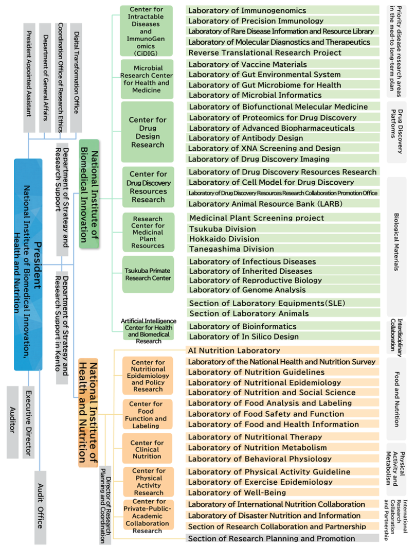 Organizational structure chart of NIBN