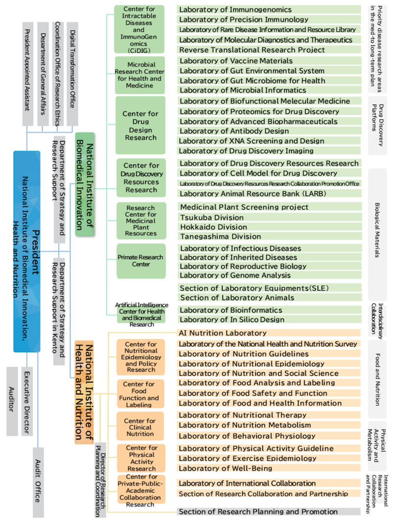 Organizational structure chart of NIBN