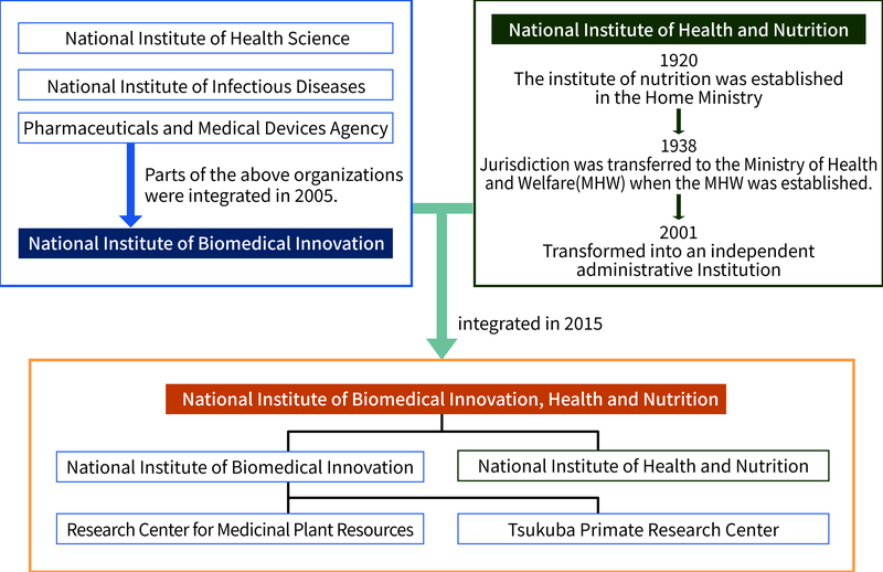The above historical background is illustrated schematically.