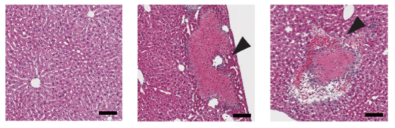 Figure3