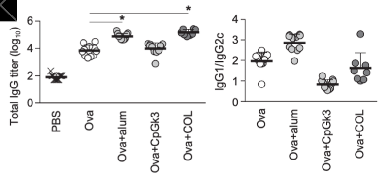 Figure4