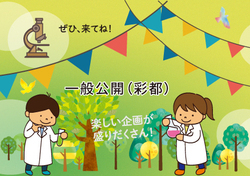 一般公開