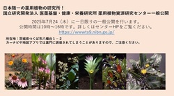 一般公開　薬用植物資源研究センター
