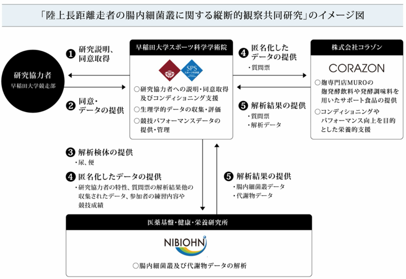 共同研究のイメージ図：研究協力者が同意の上、早稲田大学スポーツ科学学術院にデータ提供し、匿名化されたデータがコラゾンと医薬基盤・健康・栄養研究所に提供され、改正結果が同大に提供される