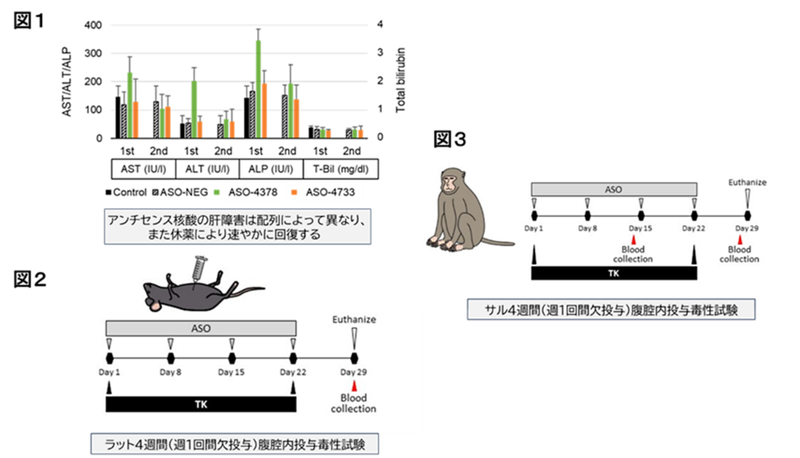 腹膜播種を有する進行胃癌に対する新たな挑戦